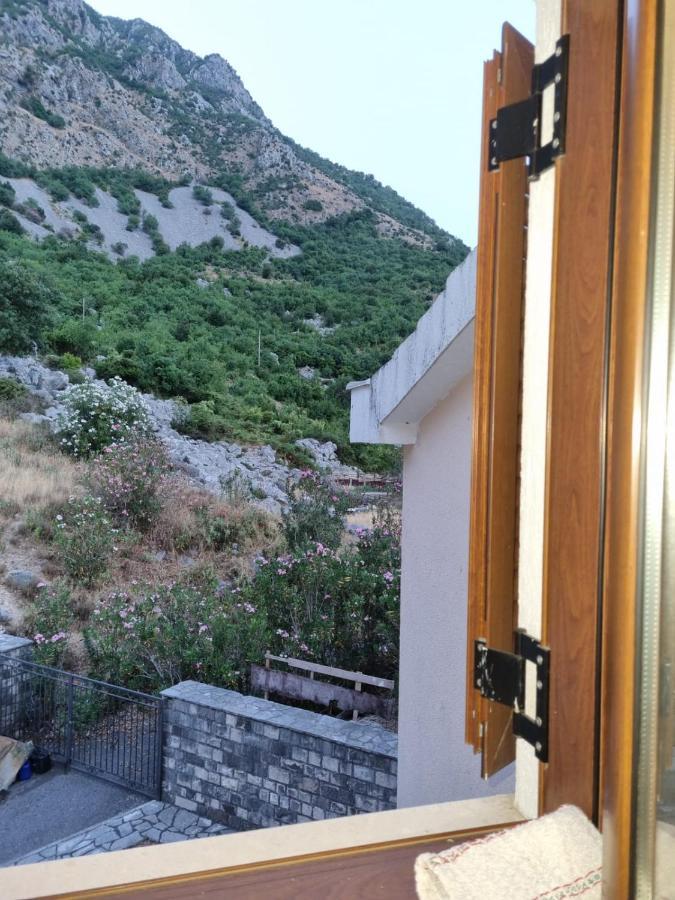 Apartments Sneza Risan Εξωτερικό φωτογραφία
