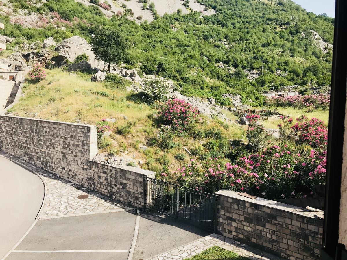 Apartments Sneza Risan Εξωτερικό φωτογραφία