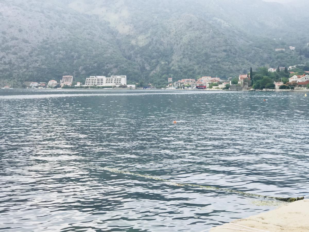 Apartments Sneza Risan Εξωτερικό φωτογραφία